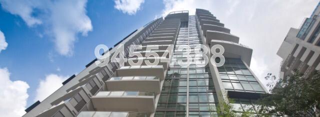 The Lincoln Residences (D11), Condominium #130713252
